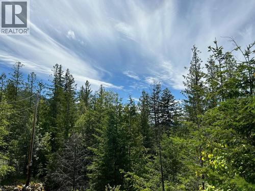 245 Rainbow Ridge Road, Procter, BC - Outdoor With View