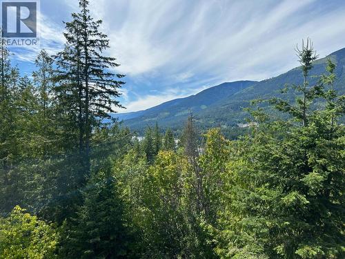 245 Rainbow Ridge Road, Procter, BC - Outdoor With View