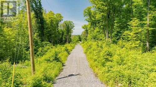 0 Floods Lane, Mckellar, ON 
