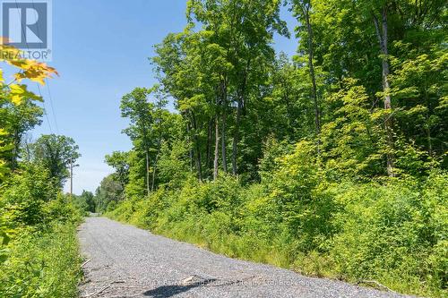 0 Floods Lane, Mckellar, ON 