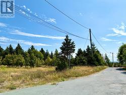 792 Water Street  Bay Roberts, NL A0A 1G0