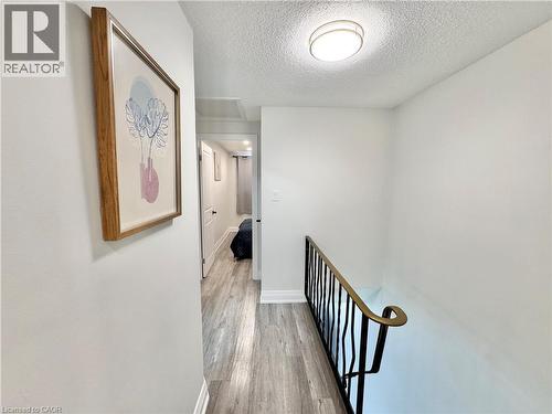 138 Jansen Avenue, Kitchener, ON - Indoor Photo Showing Other Room