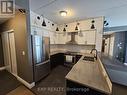 102 - 308 Watson Parkway N, Guelph, ON  - Indoor Photo Showing Kitchen With Stainless Steel Kitchen With Double Sink 