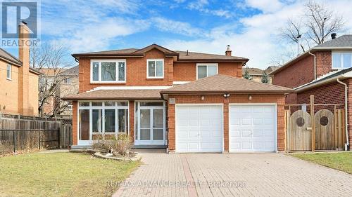 Lower - 49 Havenview Road, Toronto, ON 