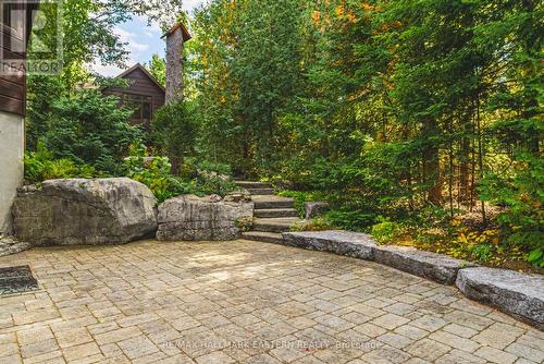 538 Rishor Avenue, Douro-Dummer, ON - Outdoor