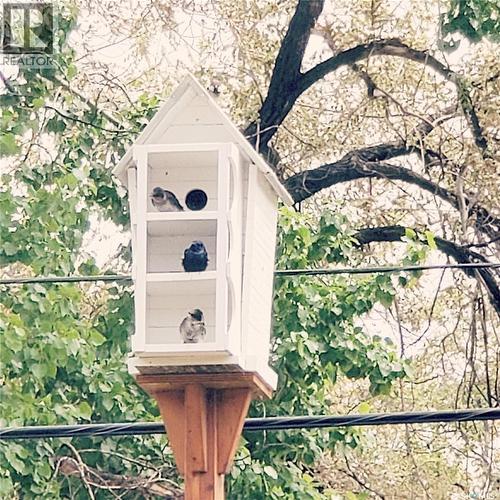 122 Main Street, Radisson, SK - Outdoor