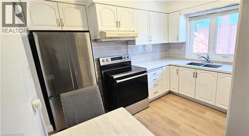 111 Castlefield Drive, Hamilton, ON - Indoor Photo Showing Kitchen With Double Sink