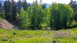 2161 PINETREE Place  Invermere, BC V0A 1K4