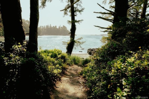 #4-1002 Peninsula Rd, Ucluelet, BC 