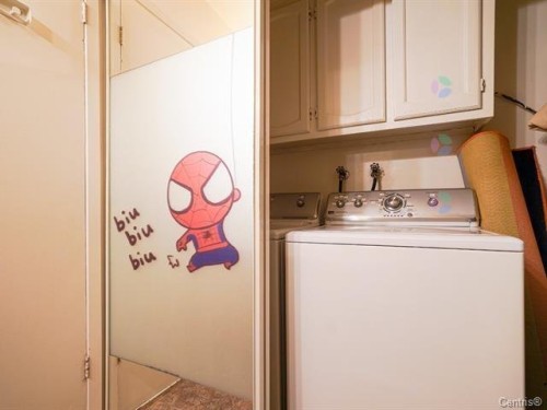 Salle de lavage - 5-3615 Boul. Des Trinitaires, Montréal (Le Sud-Ouest), QC - Indoor Photo Showing Laundry Room