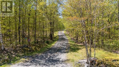 587 Centre Road, Mckellar, ON - Outdoor With View