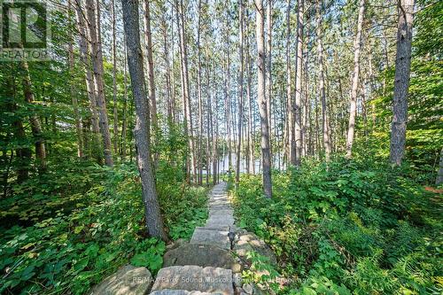 587 Centre Road, Mckellar, ON - Outdoor