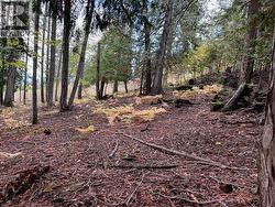 Columbia Drive Lot# 138 Anglemont, BC V0E 1M8