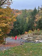 Firepit - view in the fall - 