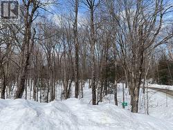 Winter view of entrance - 
