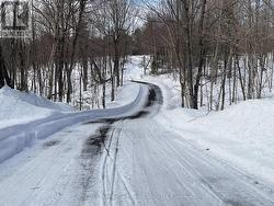 Driveway from Balsam Creek - 