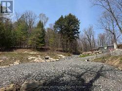 ATV path to the water - 