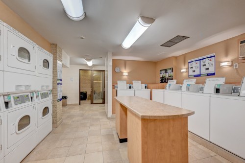 Laundry - 1502-5500 Av. Macdonald, Côte-Saint-Luc, QC - Indoor Photo Showing Laundry Room