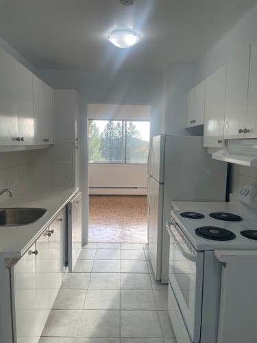 Kitchen - 1502-5500 Av. Macdonald, Côte-Saint-Luc, QC - Indoor Photo Showing Kitchen