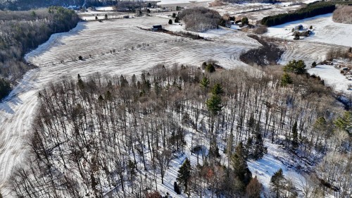 Vue d'ensemble - 132 Rg St-André, Saint-André-Avellin, QC - Outdoor With View