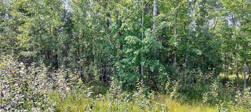 24 Amherst Dr, Pinawa, MB 