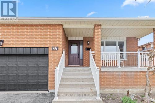 37 Brandy Crescent, Vaughan, ON - Outdoor
