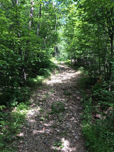 Boisé - 168 Ch. St-Georges, Rigaud, QC 