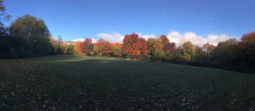 Terre/Terrain - 168 Ch. St-Georges, Rigaud, QC 