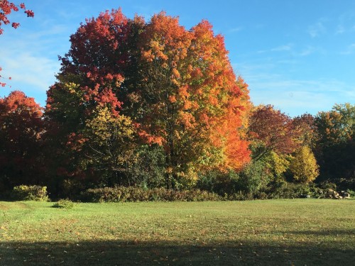 Terre/Terrain - 168 Ch. St-Georges, Rigaud, QC 