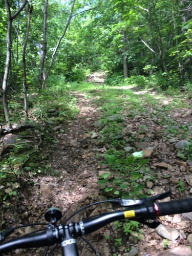 Boisé - 168 Ch. St-Georges, Rigaud, QC 