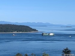 253 Alder St SOUTH Campbell River, BC V9W 2M9