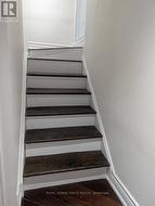 BSMNT - 54 MCINNES CRESCENT  Toronto, ON M1B 5E8