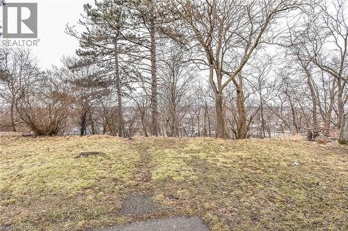 20 Elliott Street, Cambridge, ON - Outdoor With View