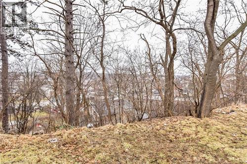 20 Elliott Street, Cambridge, ON - Outdoor With View