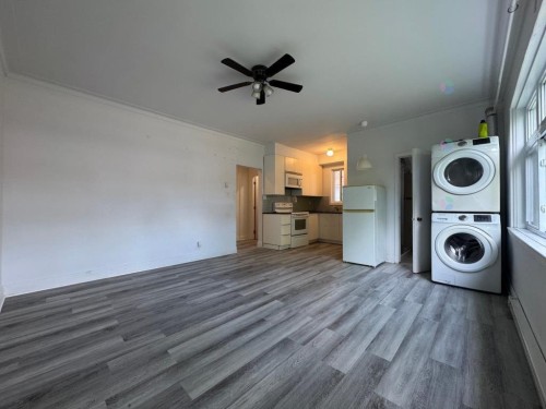 Living Room - 4996 Rue Fulton, Montréal (Côte-Des-Neiges/Notre-Dame-De-Grâce), QC - Indoor Photo Showing Laundry Room