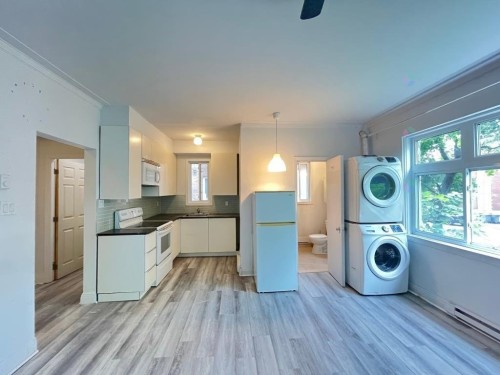 Living Room - 4996 Rue Fulton, Montréal (Côte-Des-Neiges/Notre-Dame-De-Grâce), QC - Indoor Photo Showing Laundry Room