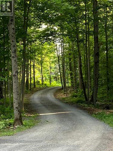 2191 Cassburn Road, Champlain, ON - Outdoor With View