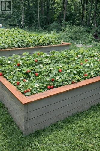 2191 Cassburn Road, Champlain, ON - Outdoor