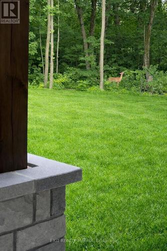 2191 Cassburn Road, Champlain, ON - Outdoor