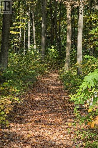 2191 Cassburn Road, Champlain, ON - Outdoor With View