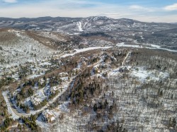Aerial View - 