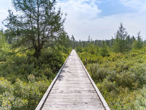 Terre/Terrain - Ch. Adélard-Lehoux, Beaulac-Garthby, QC 