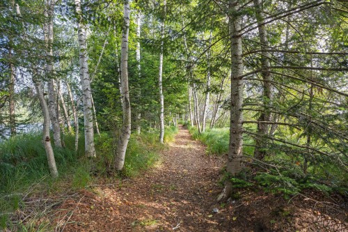 Terre/Terrain - Ch. Adélard-Lehoux, Beaulac-Garthby, QC 
