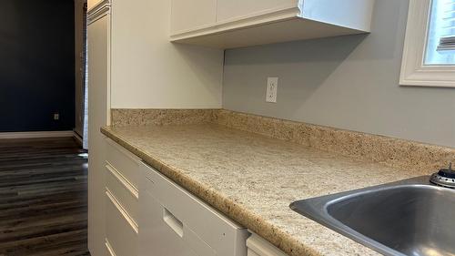 101-160 5 Avenue, Salmon Arm, BC - Indoor Photo Showing Kitchen