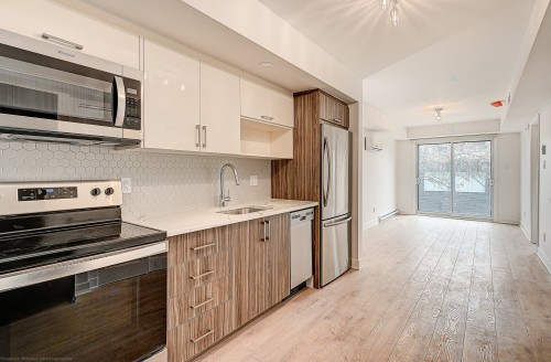 Kitchen - 203-185 Rue Beaubien E., Montréal (Rosemont/La Petite-Patrie), QC - Indoor Photo Showing Kitchen With Upgraded Kitchen