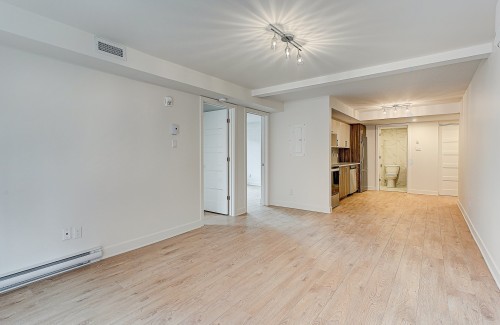 Salon - 105-185 Rue Beaubien E., Montréal (Rosemont/La Petite-Patrie), QC - Indoor Photo Showing Other Room