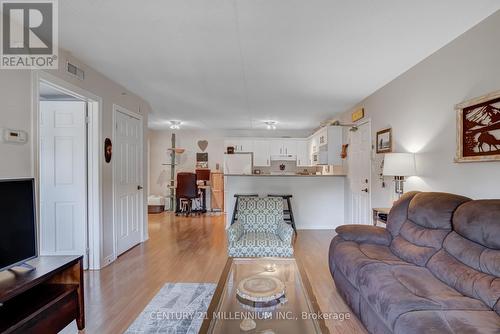 110 - 4003 Kilmer Drive, Burlington, ON - Indoor Photo Showing Living Room