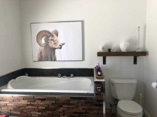 Bathroom - 891 Ch. Des Éperviers, Piedmont, QC - Indoor Photo Showing Bathroom