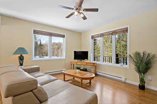 Salon - 1708 Route 323 N., Amherst, QC - Indoor Photo Showing Living Room