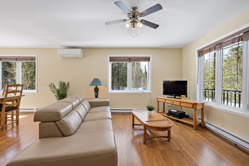 Salon - 1708 Route 323 N., Amherst, QC - Indoor Photo Showing Living Room
